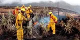 Cusco: Guardaparques bomberos del Sernanp se movilizan para sofocar incendio forestal