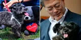 Presidente surcoreano considera prohibir el consumo de carne de perro