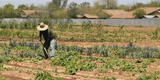 Midagri: segunda reforma agraria será con visión empresarial