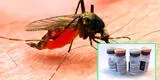 OMS aprueba la primera vacuna contra la malaria en el mundo: “Es un momento histórico”