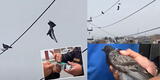 Barranca: paloma atrapada en cables de alta tensión es salvada con drone y escena es viral [VIDEO]