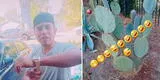 “Parecen puercos”: Extranjero que se burla de mexicanos por comer nopales y caso indigna en TikTok