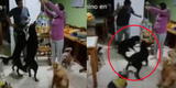 Arma fiesta a su perro por su cumpleaños y cuando iban a romper la piñata ocurre lo inesperado [VIDEO]