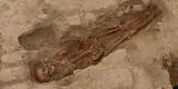 Descubren restos de 29 personas con más de mil años de antigüedad en Lambayeque, Perú