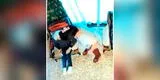 Una mujer golpeó brutalmente a una señora de 100 años a la que debía cuidar [VIDEO]