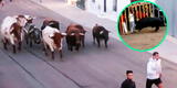Hombre muere tras ser corneado por un toro en festival taurino español [VIDEO]
