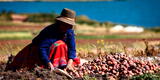Gobierno suscribe acuerdo con Bolivia para fortalecer provisión de fertilizantes