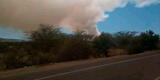 Piura: dantesco incendio consume plantaciones de la empresa Caña Brava [VIDEO]