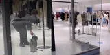 Perrito quiere entrar a tienda Zara, seguridad le toma la temperatura y tierna escena es viral [VIDEO]