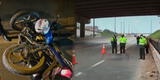 Los Olivos: Motociclista muere tras caer del puente del óvalo naranjal