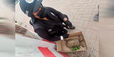 Carabayllo: personal municipal rescató una tortuga que fue abandona en una caja [FOTOS]