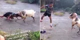 ¡Épico! Joven se enfrenta a una cabra e intensa batalla se hace viral [VIDEO]