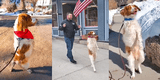 Perro de tres patas aprende a caminar erguido como un humano tras un accidente automovilístico [FOTOS]