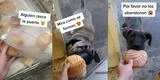 Joven panadero regala panes a perritos callejeros que van a su negocio por comida y se vuelve viral