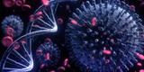 Coronavirus: El mundo en alerta máxima por la nueva variante de ómicron