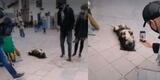 Perrito ‘cusqueño’ llama la atención de los turistas por su singular forma de dormir en plena calle