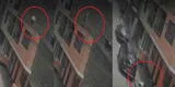 SMP: Hombre cayó del tercer piso tras ser atacado por un pitbull [VIDEO]