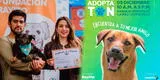 Adoptatón 2021: Evento donde podrás encontrar a tu mejor amigo de cuatro patas