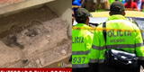 Profesor que desapareció hace 2 meses es hallado enterrado con cemento en una pared de su hogar [VIDEO]