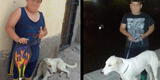 Niño de 9 años intenta vender su juguete favorito para salvar a un perrito callejero herido [FOTOS]