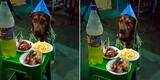 Perrito es sorprendido con un pollo a la brasa por su cumpleaños y escena es viral [VIDEO]