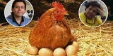 Susel Paredes y Edward Málaga presentan PL para el bienestar de gallinas ponedoras