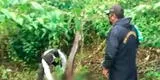 Feminicidio en Oxapampa: sujeto asesina a su esposa y deja el cuerpo en el bosque