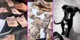 Joven se queda sin ahorros luego que sus dos perros destrozaran mil dólares en billetes [VIDEO]