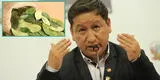 Guido Bellido presentó proyecto de ley para que la hoja de coca sea patrimonio cultural