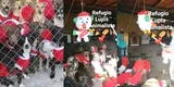 Más de 500 perritos sin hogar se disfrazaron para incentivar su adopción por Navidad y escena conmueve [VIDEO]