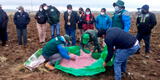 Pasco: entregan más de 15 toneladas de semillas de pastos cultivados