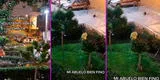 Abuelito aprovecha el pánico por el temblor en Lima para regar sus plantas y escena es viral [VIDEO]