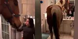 Caballo entra en una casa y la niña estalla de felicidad al verlo [VIDEO]