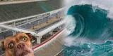 Usuarios cuestionan puente de la Costa Verde porque bañistas no podrían escapar ante un eventual tsunami