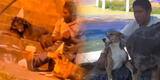 El hombre que celebró el cumpleaños de sus perros en la calle se pronunció: “Mi vida está cambiando”