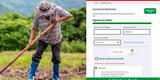 Bono Wanuchay: Consulta AQUÍ si eres uno de los agricultores que recibirán el subsidio de 350 soles