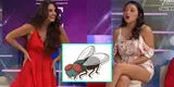 Rebeca Escribens jura que odia a las 'moscas muertas' y la destruyen EN VIVO: "Tú sabrás"