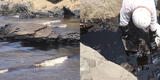 Derrame de petróleo en Ventanilla: Pescadores de playa Bahía Blanca piden ayudar en la limpieza