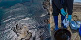 Derrame de petróleo en Ventanilla: Científicos evalúan impacto biológico ambiental [FOTOS]