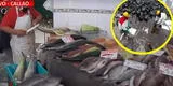 Callao: Comerciantes venden pescados del norte y sur tras derrame de petróleo en Ventanilla