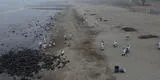 Ancón: voluntarios continúan con la limpieza de playa Pocitos tras derrame de petróleo
