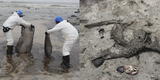Ancón: continúan los trabajos de limpieza de playas tras derrame de petróleo