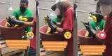 El conmovedor video que muestra a dos voluntarios limpiando a un ave llena de petróleo: "Están sufriendo" [VIDEO]