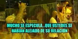 Paolo Guerrero y su respuesta cuando le preguntan situación con Alondra tras discusión [VIDEO]