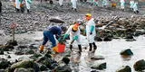 Gobierno prepara radical sanción contra Repsol tras derrame de petróleo en el litoral