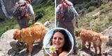 Arequipa: perrito 'Wally' se suma a la PNP para encontrar a la turista belga desaparecida [VIDEO]