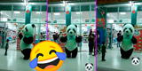 Oso panda la rompe bailando huayno en la calle y divertido video es viral en TikTok