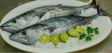 Ventanilla: Precio del kilo de pescado bonito llega a 2.50 soles