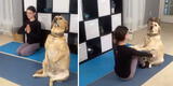 ¡Todo un experto! Perrito practica yoga con su dueña y escena conmueve corazones en TikTok