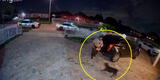 Estados Unidos: policía le dispara y mata a un perro con indicios de agresividad, en Miami [VIDEO]